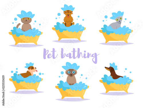 Animal bath Vector. Cartoon. Isolated art on white background.