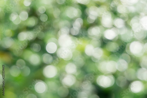 Bokeh background and light