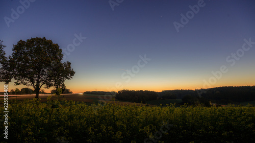 Sonnenaufgang im Rapsfeld zum Herbstanfang