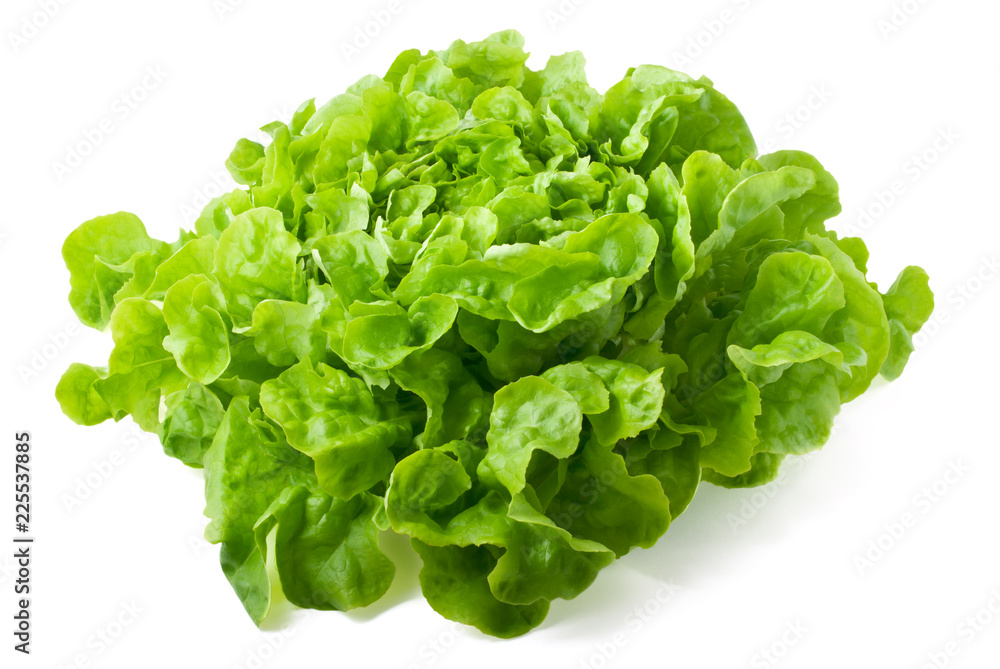 Butterhead lettuce isolated on white background Butterhead lettuce isolated on white background