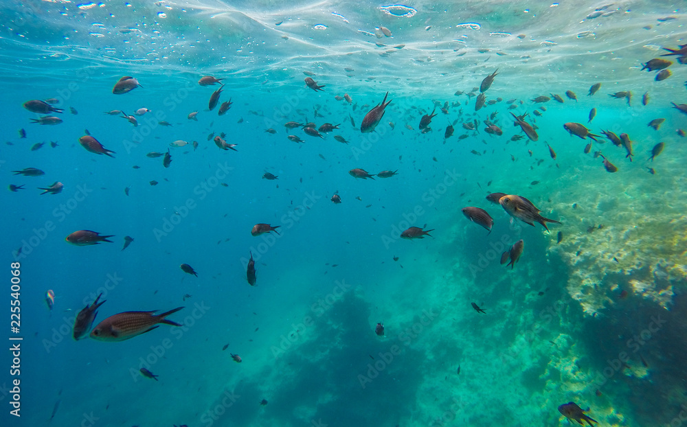 Fototapeta premium DCIM\100GOPRO\GOPR9441.