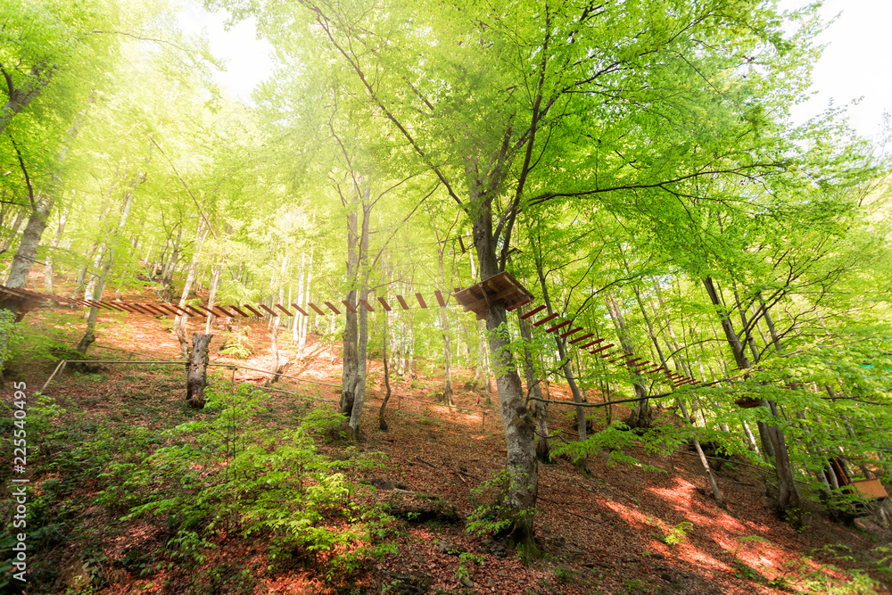Adventure park or pass obstacles on the rope road. Rope park in pine wood forest. Green tourism, outdoor recreation, national park Adventure park or pass obstacles on the rope road. Rope park in pine wood forest. Green tourism, outdoor recreation, national park