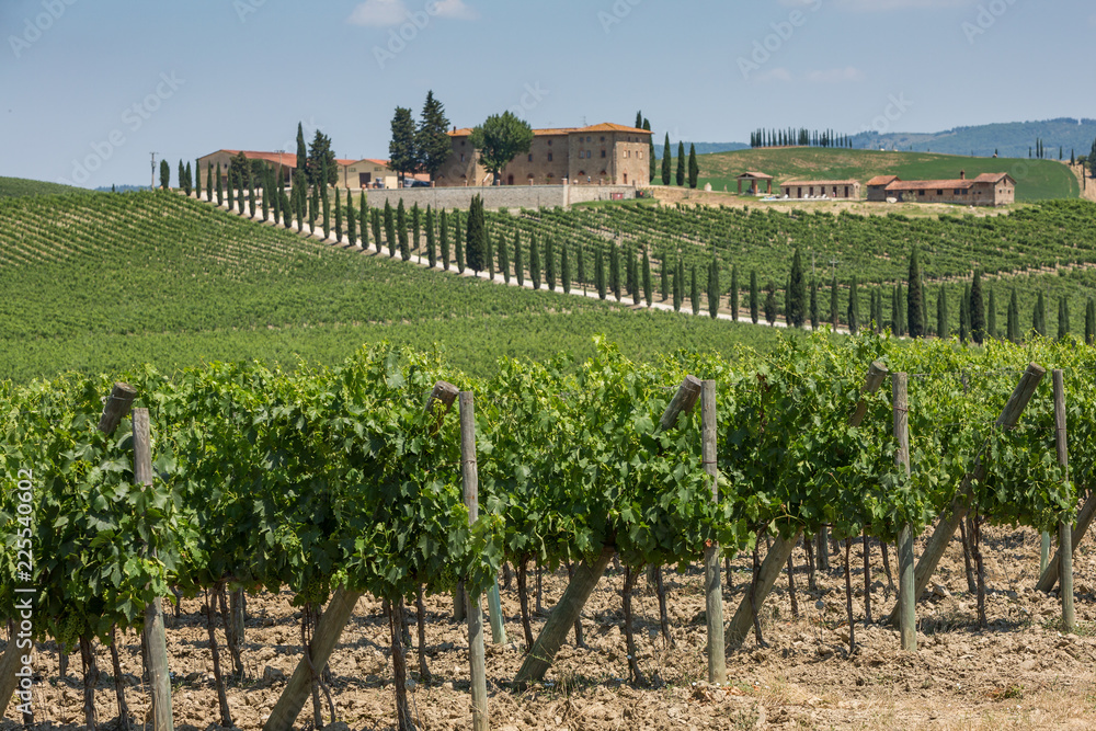 Winery and vineyards in the rolling hills near San Gimignano, Chianti, Tuscany