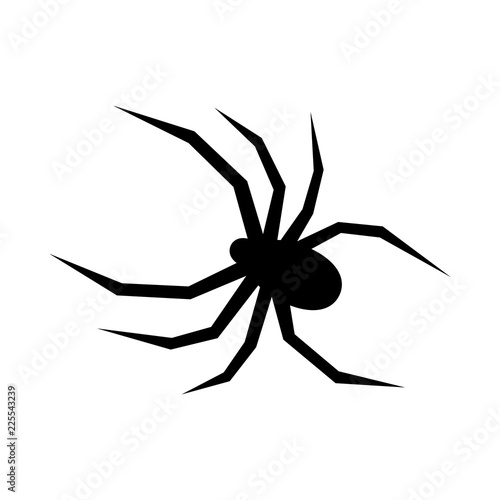 Black spider vector silhouette. Black widow. Flat vector illustration