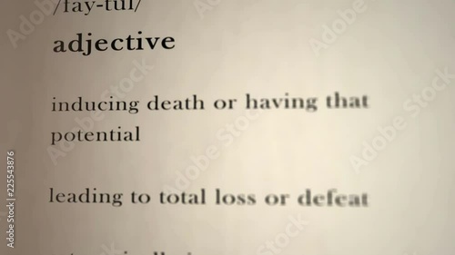 Fatal Definition  