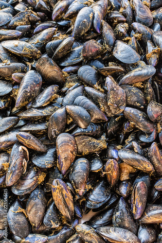 Mussels/Moules on public market
