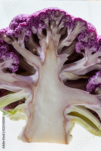half cauliflower in pink photo