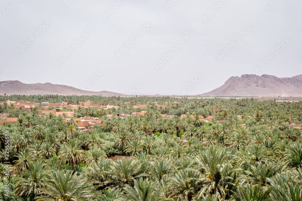 Desert of figuig Desert of figuig