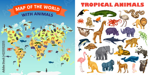Zoo animals banner set. Cartoon illustration of zoo animals vector banner set for web design