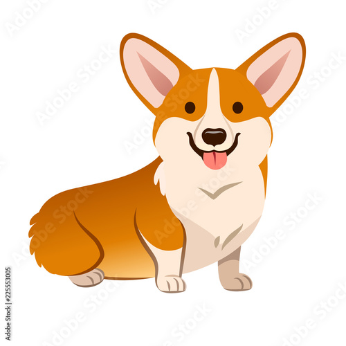 Corgi dog vector cartoon illustration. Cute friendly welsh corgi puppy sitting, smiling with tongue out  isolated on white. Pets, animals, canine theme design element in contemporary simple flat style photo