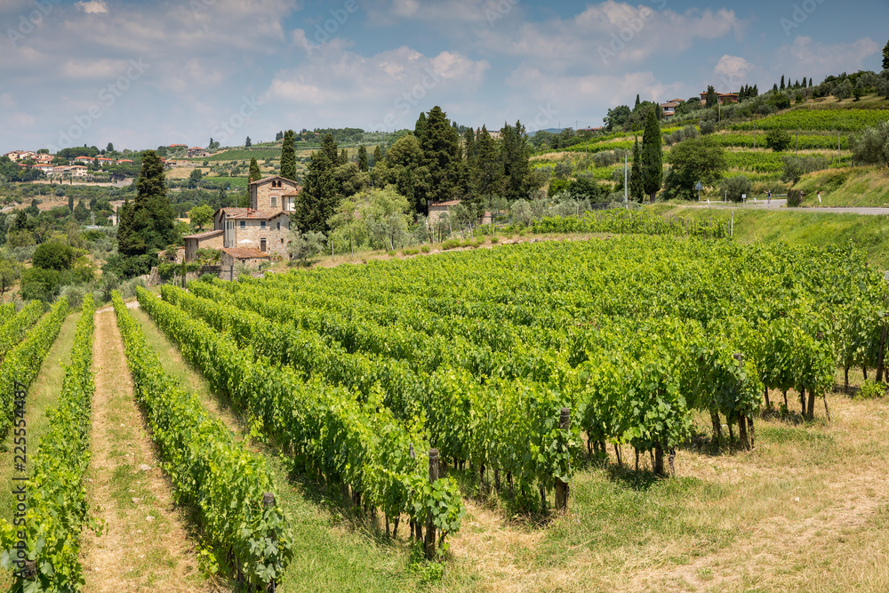 View of a winery and vineyards in the rolling hills near Radda, Chianti, Tuscany