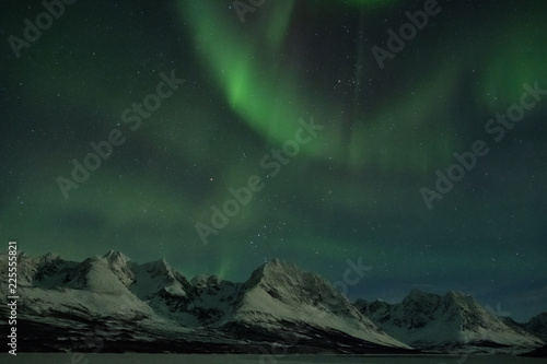 Landscape of northern lights over the Norway fjord in winter.
