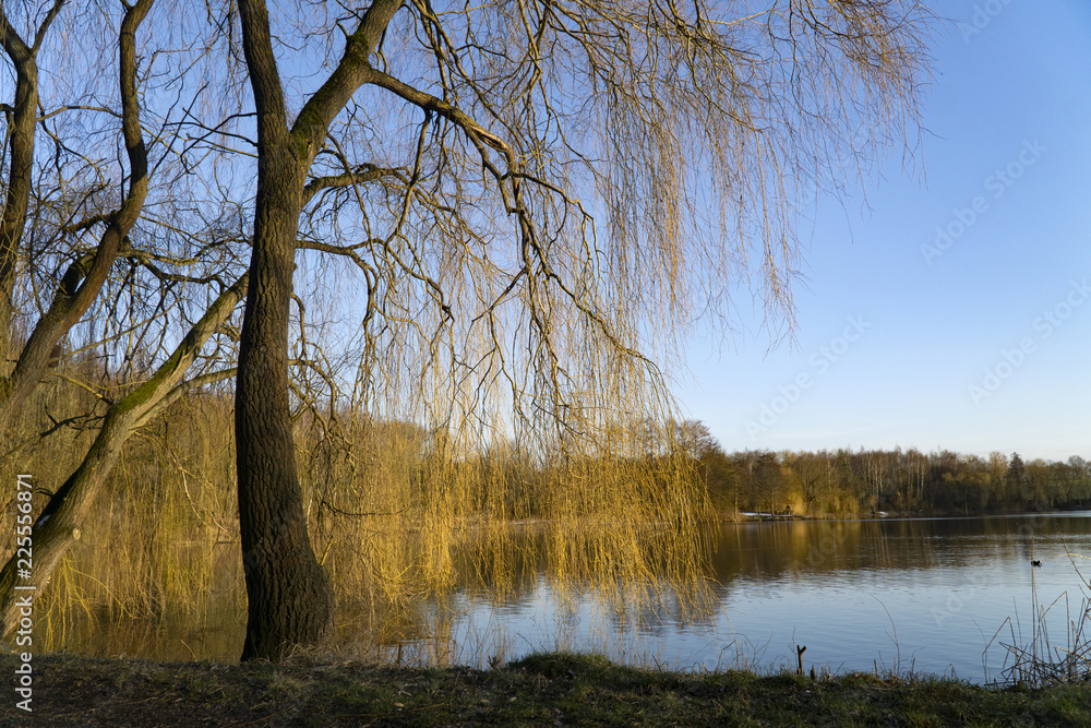 Sunset on beautiful sea