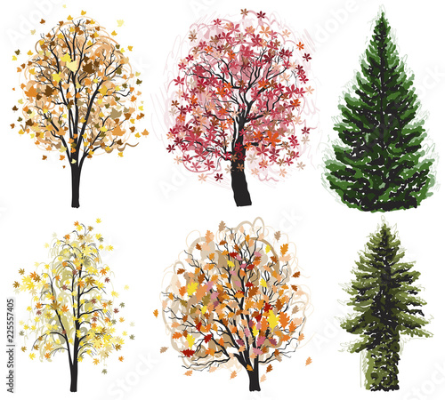 Vector Deciduous and coniferous autumn trees set.