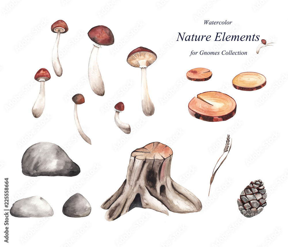watercolor set: cut down a tree, tree stump, stones, dry grass, pinecone, mushroom watercolor set: cut down a tree, tree stump, stones, dry grass, pinecone, mushroom