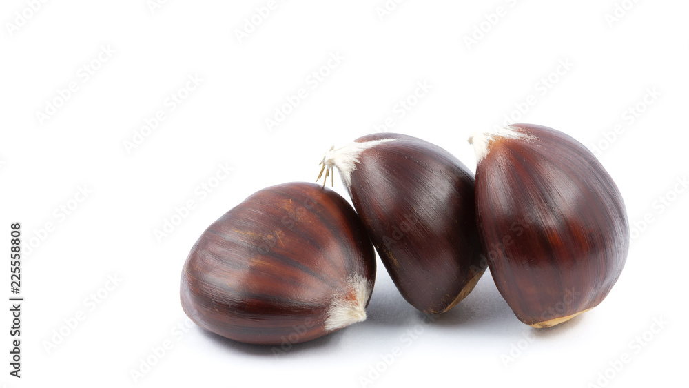 blur in the light background lots of chestnut blur in the light background lots of chestnut