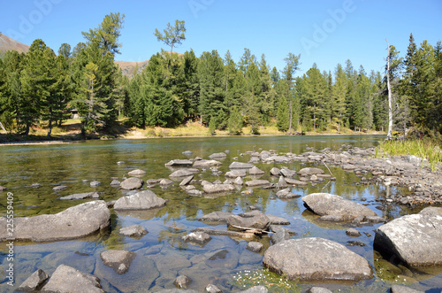 Russia, mountain Altai, river Multa flows from the lower Multinskoe lake photo