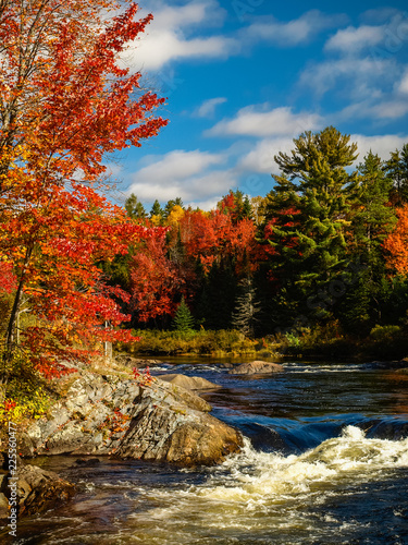 Flowing river amidst bright fall colors