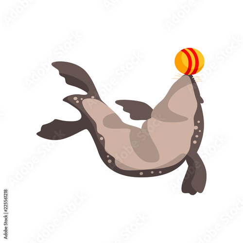 Fur seal playing with ball, sea animal performing in public in dolphinarium vector Illustration on a white background