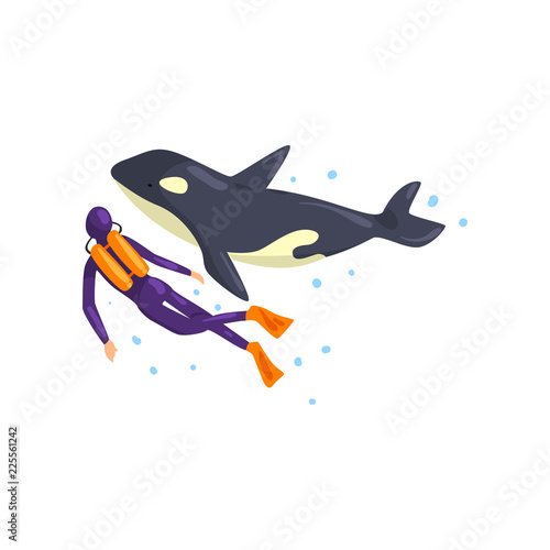 Animal trainer and orca performing in public in dolphinarium vector Illustration on a white background