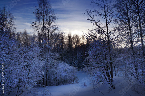 Winter nature scenery © elen_studio