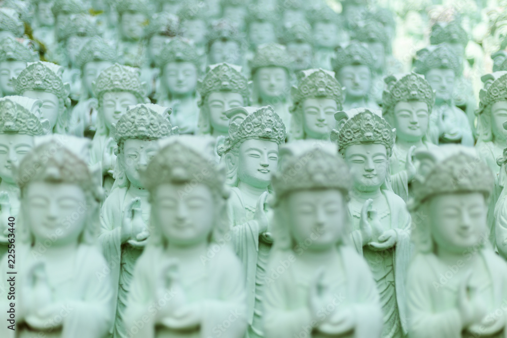 Budda faces and budda statues in meditation