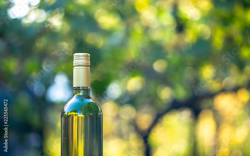 Wine bottle with blur background in hungarian vineyard