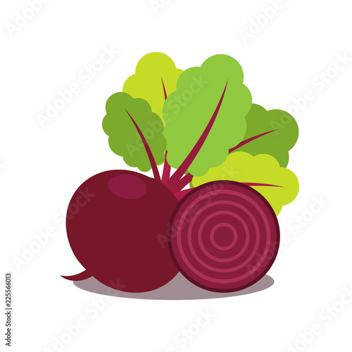 Beet, Icon on white background. beetroot. Vegetable whole and half.