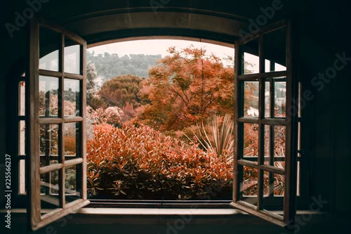 Fototapeta Jesień przez otwarte okno vintage