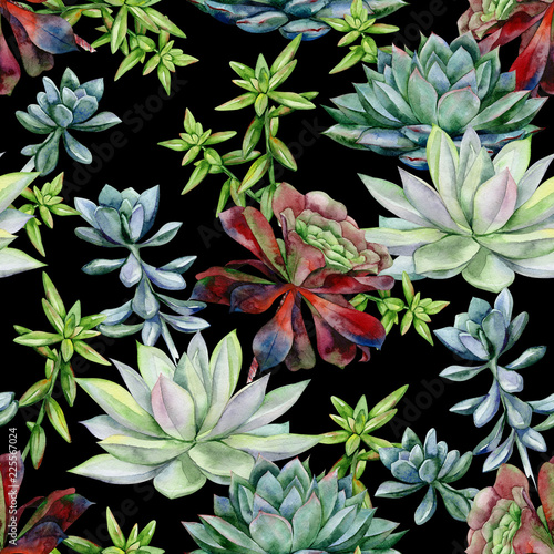 Watercolor succulents seamless pattern  echeveria illustration  botanical painting of dudleya and zwartkop. Stone rose. Sempervivum art. Elements for design of invitations  posters  fabrics. 