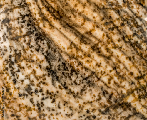 Stone texture background. Polished picture jasper stone macro.