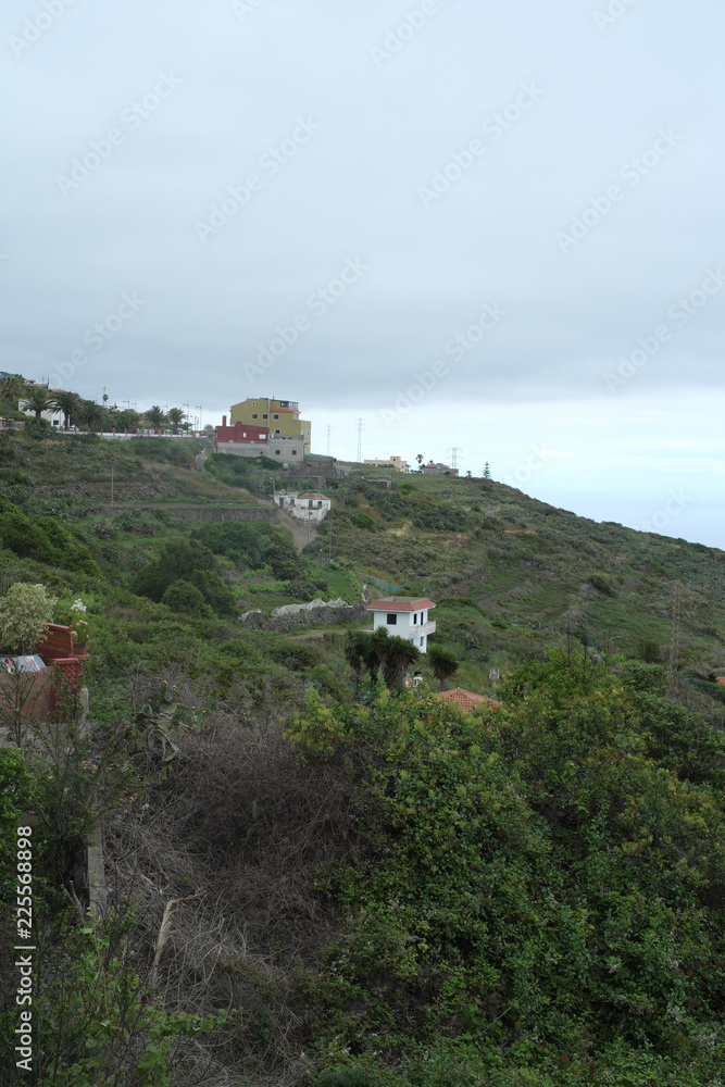 Fototapeta premium Teneriffa