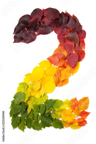 Foto Number two made with autumn leaves isolated on white