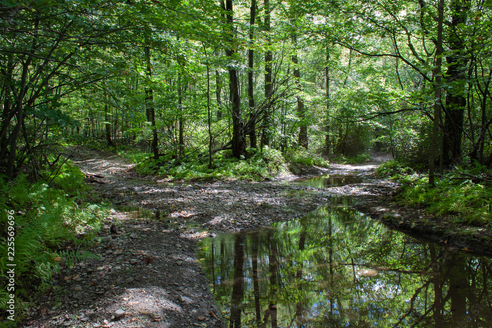 Obraz premium Which Way