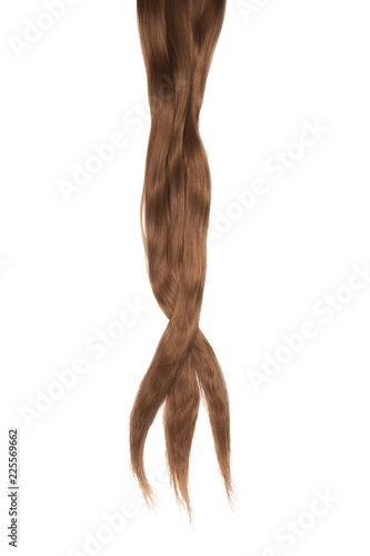 Brown (Dark) hair isolated on white background. Long disheveled ponytail