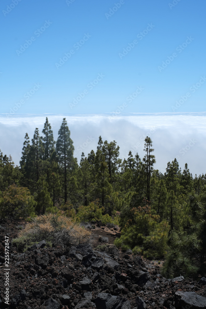 Teneriffa Teide Vulkan Teneriffa Teide Vulkan