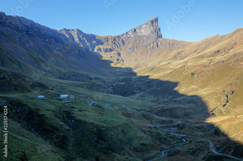 Moorlandschaft, Schmetterlinge, wilde Kräuter photo