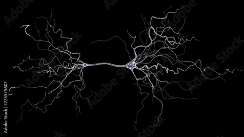 conceptual image with neuron cell isolated on black photo