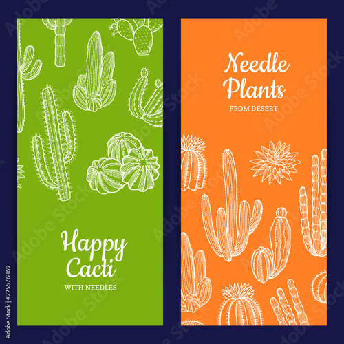 Vector hand drawn wild cacti plants web banner and poster templates illustration photo