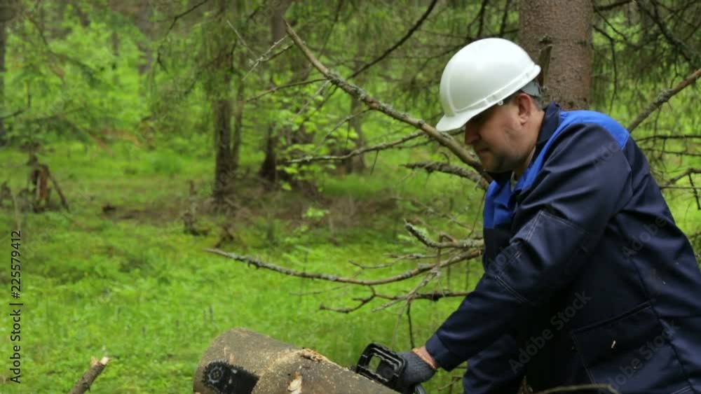 Man with chainsaw working in forest Man with chainsaw working in forest