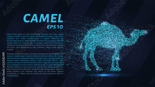 A camel made of particles on a dark background. A camel made out of geometric shapes. Vector illustration.