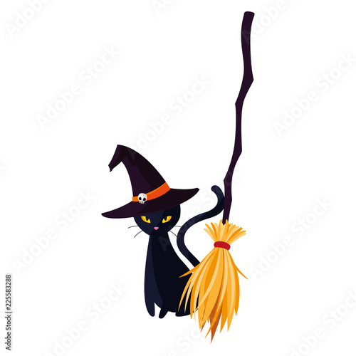 halloween black cat with witch broom