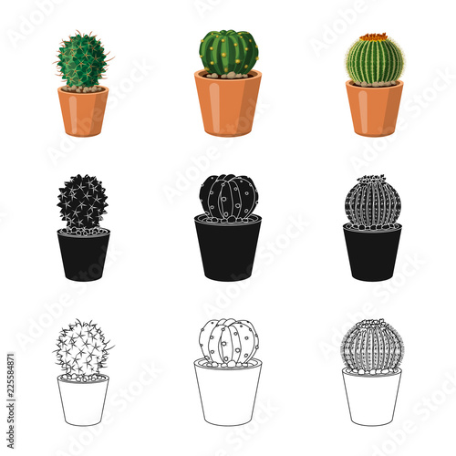 Vector design of cactus and pot sign. Collection of cactus and cacti stock symbol for web.