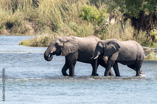 River Crossing