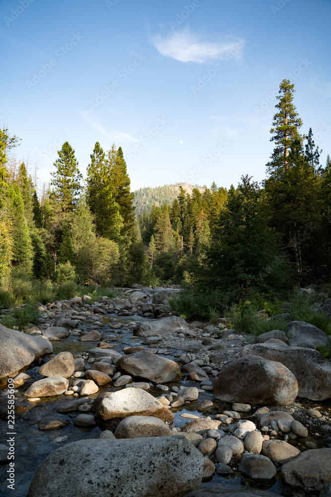 Trees and River in Wawona Yosemite - Swinging Bridge Hike Trees and River in Wawona Yosemite - Swinging Bridge Hike