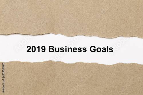 2019 business Goals text on paper. Word 2019 business Goals on torn paper. Concept Image.