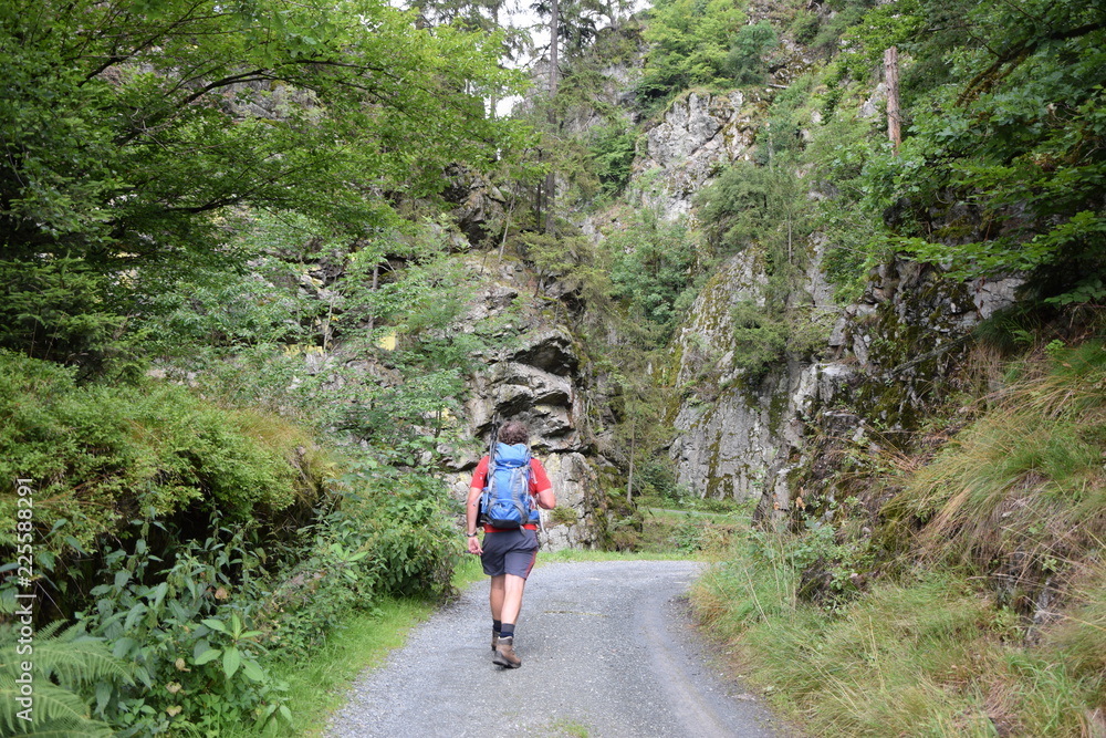 Fototapeta premium Steinachklamm im Fichtelgebirge