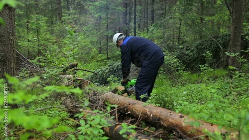 Wallpaper Mural Man with chainsaw working in forest Torontodigital.ca