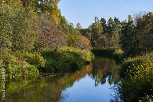 The river flows through the autumn forest