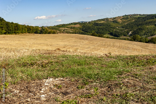 Green hills in 